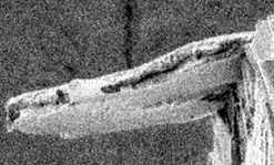 This electron micrograph shows a close-up of an early Atomic Force Microscope probe developed by Asst. Profs. Joel Therrien and Daniel Schmidt. The probe measures approximately 70 micrometers long. (One micrometer is a millionth of a meter.)