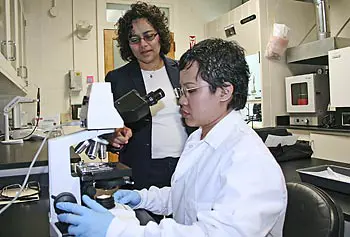 Asst. Prof. Bridgette Budhlall, left, working with Ph.D. candidate Tatiya Trongsatitkula in the lab.