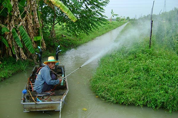 Thai Farmer