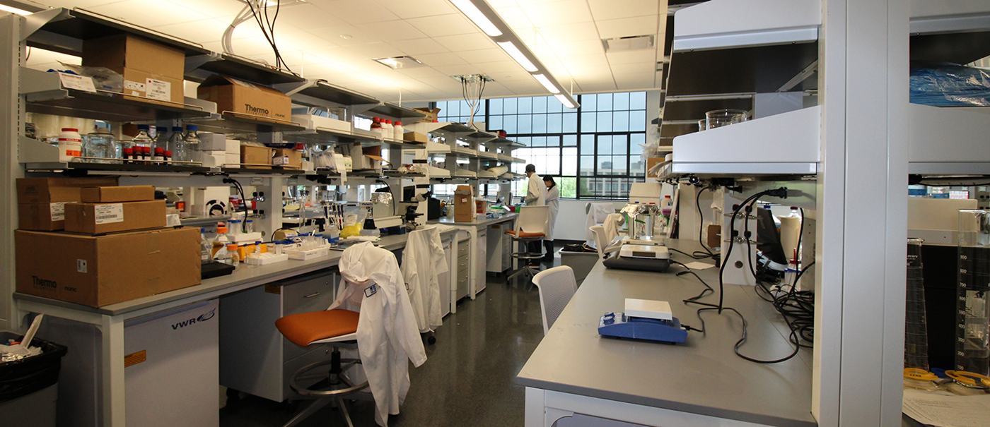 Interior picture of Canal St. lab