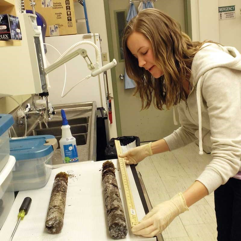 UMass Lowell student measuring a soil core sample