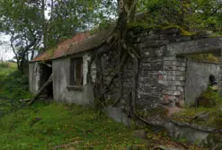 The County Tyrone homestead in Northern Ireland.