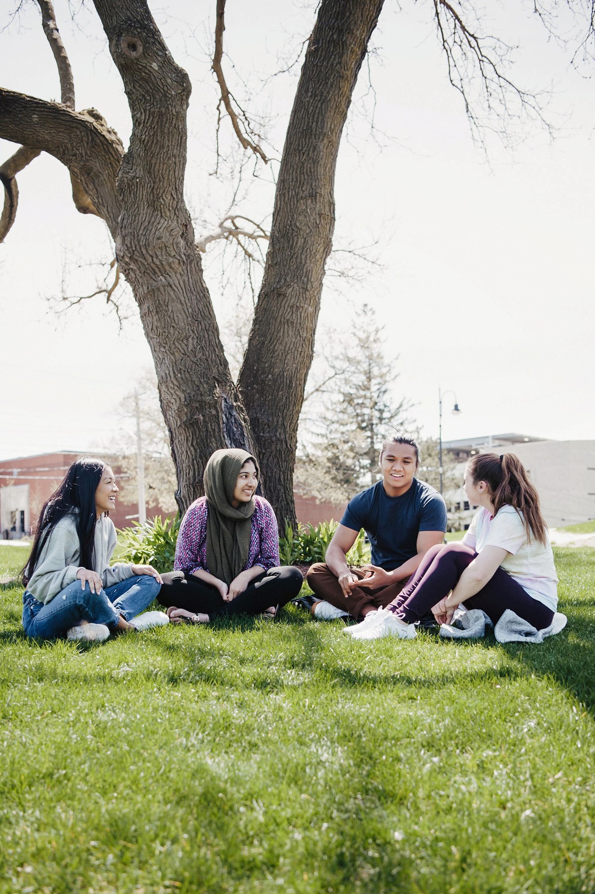 Students sit together in a group under a tree on South Campus.