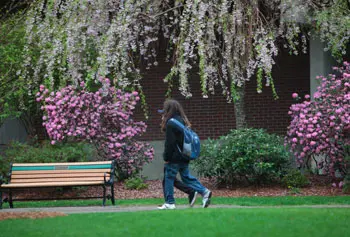 UMass Lowell&rsquo;s efforts to cultivate a sustainable landscape filled with healthy trees have been recognized by the Arbor Day Foundation.