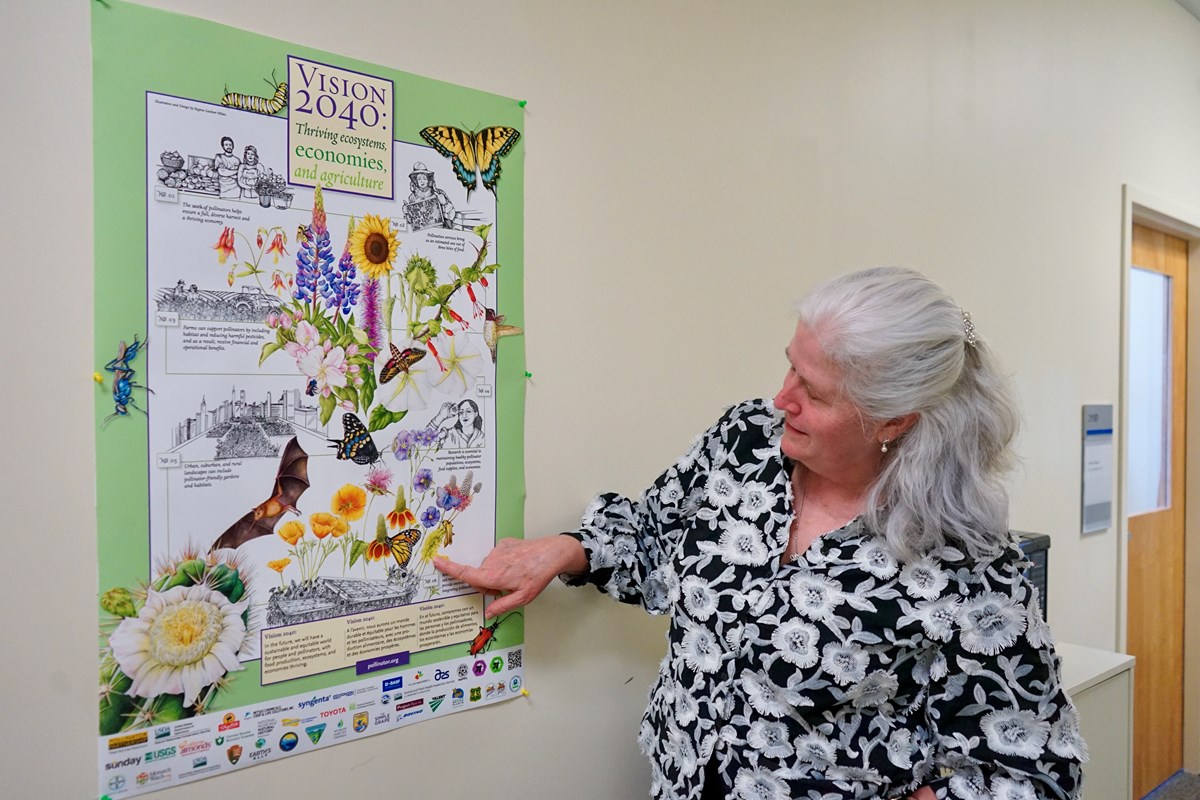 A person points to a poster featuring butterflies and flowers hanging on a wall in a room.