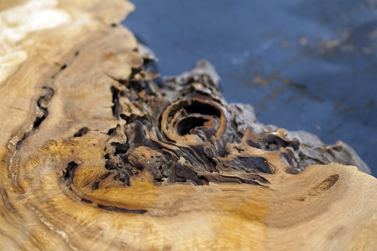 A closeup photo of a dark knot in a piece of cut wood.