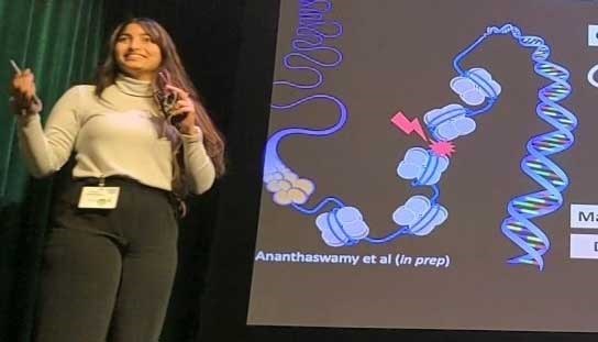 Deepshikha Ananthaswamy presents with a screen behind her showing a diagram of chromatin remodeling, which controls gene expression, and the words Ananthaswamy et al (in prep).