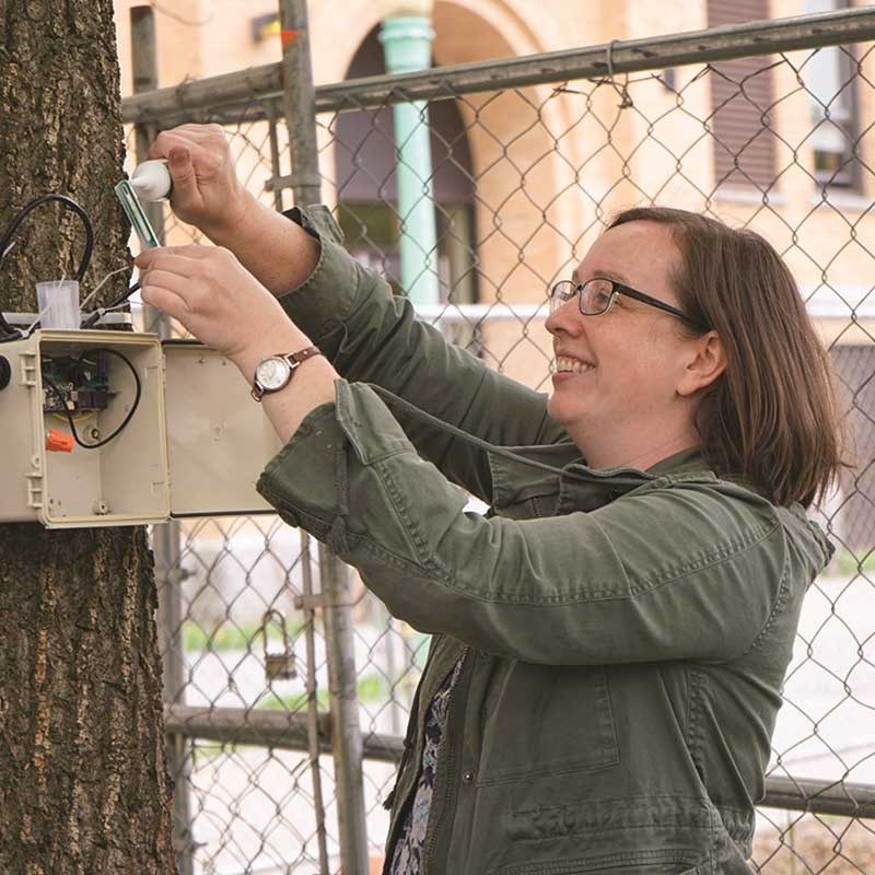 Student works with an data-collection tool that is attached to a tree trunk.