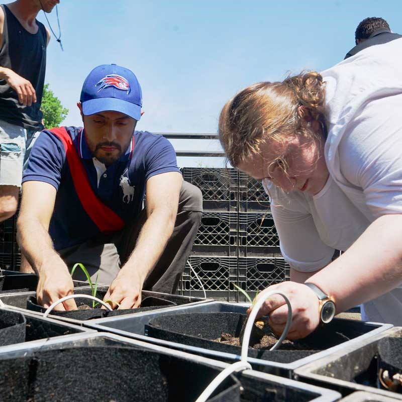 Two students planting seedlings in pots