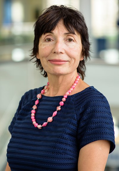 Susan Faraji, Ph.D.