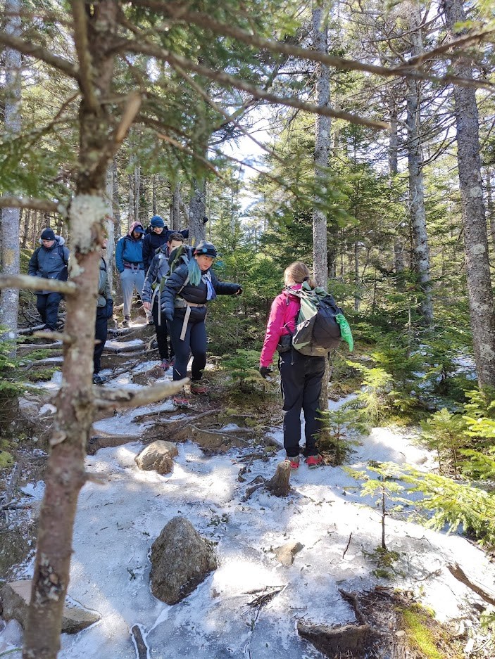 a group walks down an icy trail in the trees