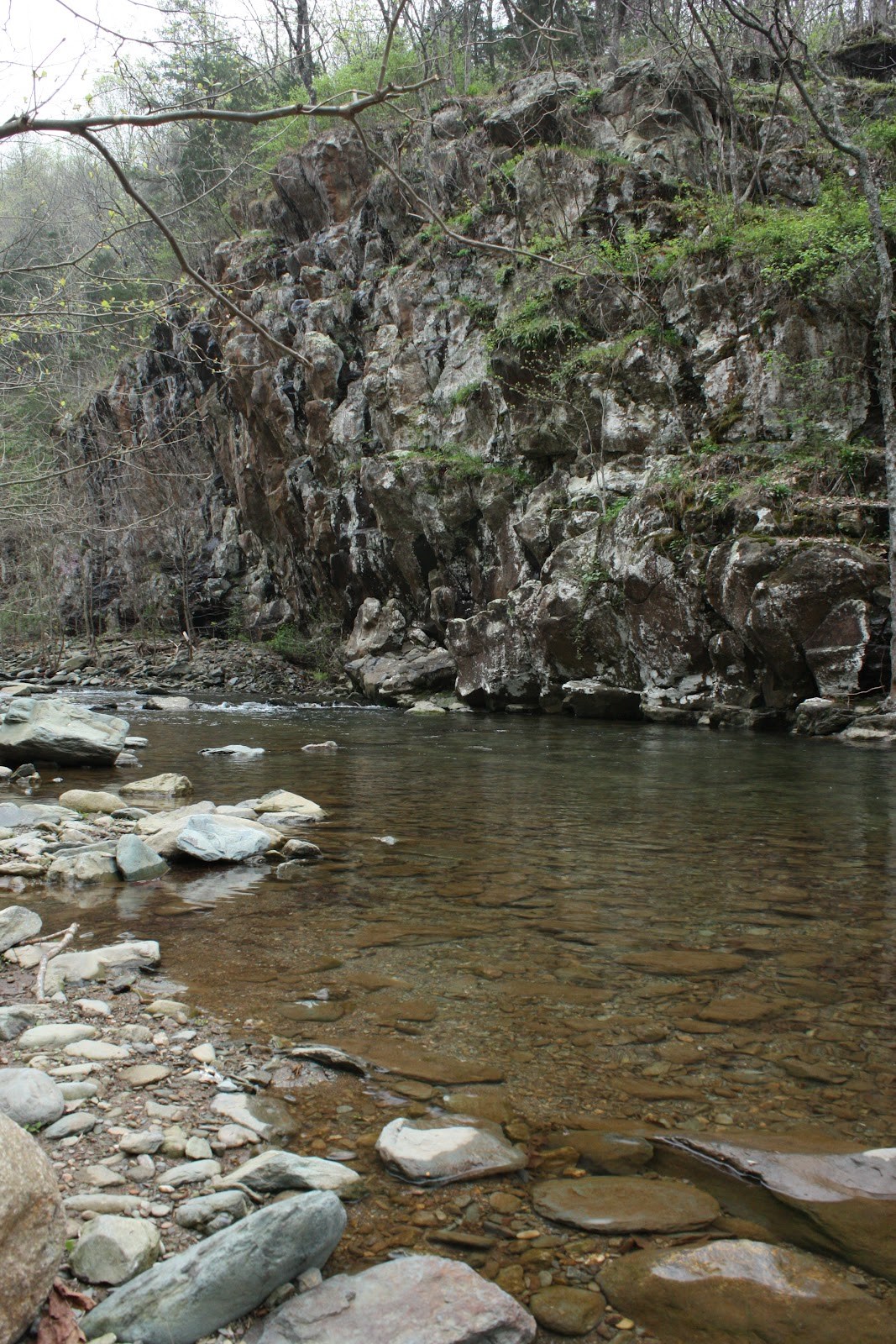 A small pool and a creek under a small rock wall with fog.