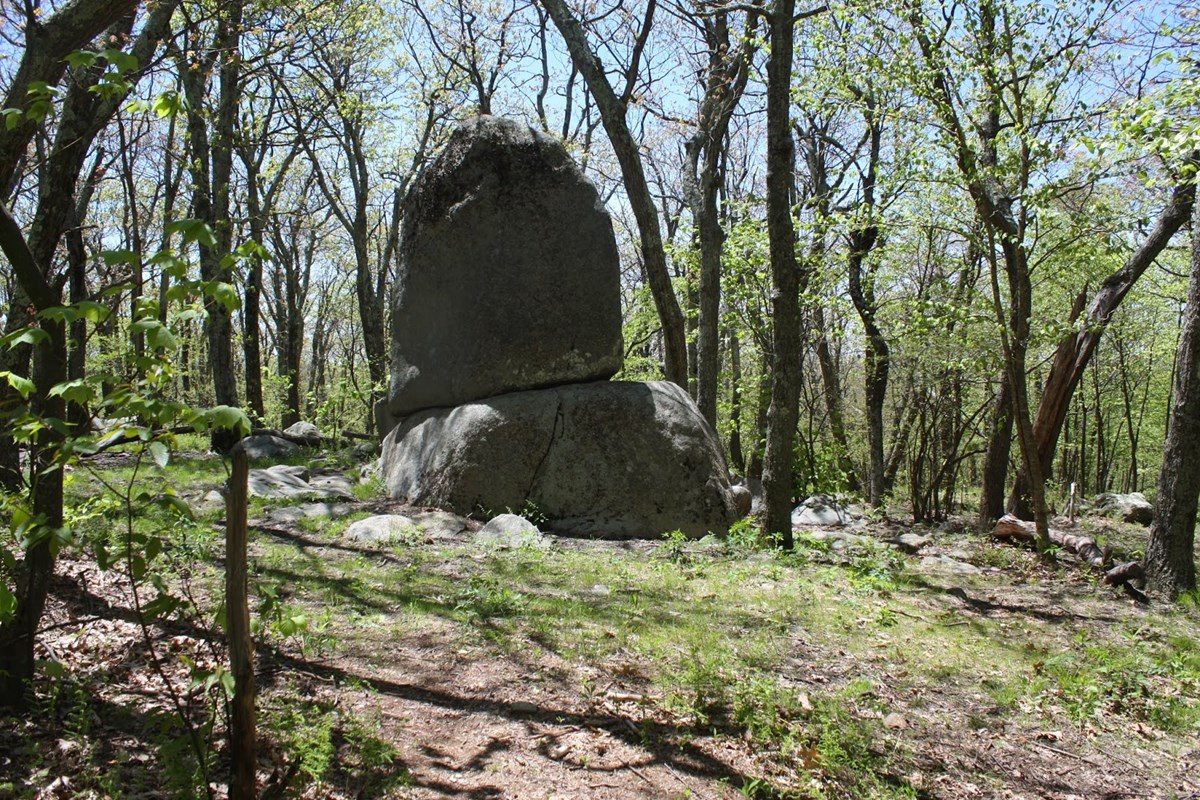 A large boulder is balanced atop another surrounded by light green spring growth.