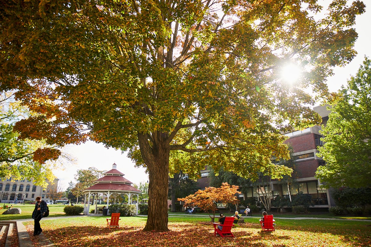 A tree is shown in the center of UMass Lowell's South Campus while several students are walking by.