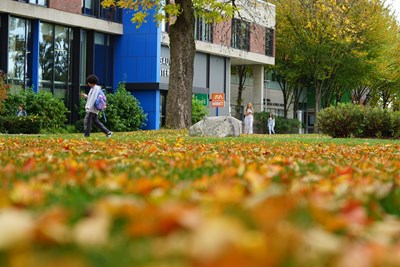 photo of students walking past fall leaves on South Campus