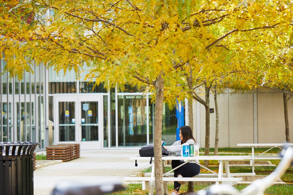 A student is shown sitting on a bench with a table, packing up their bag. There are several trees with yellow leaves around the bench, and behind the bench is the entrance to a building.