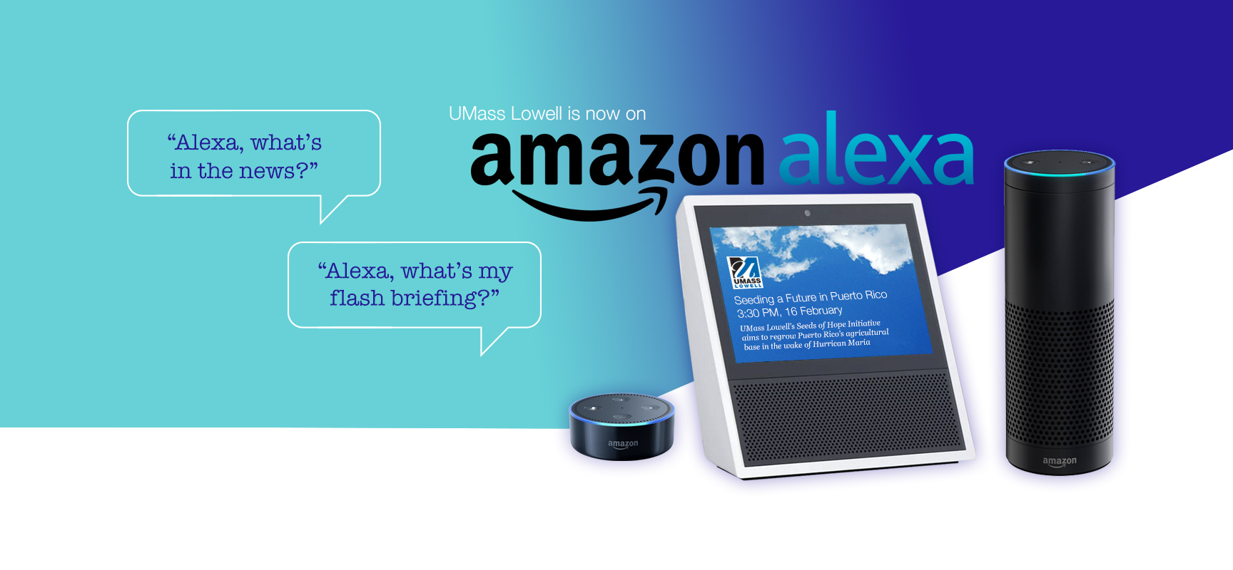 Set up alexa sales flash briefing