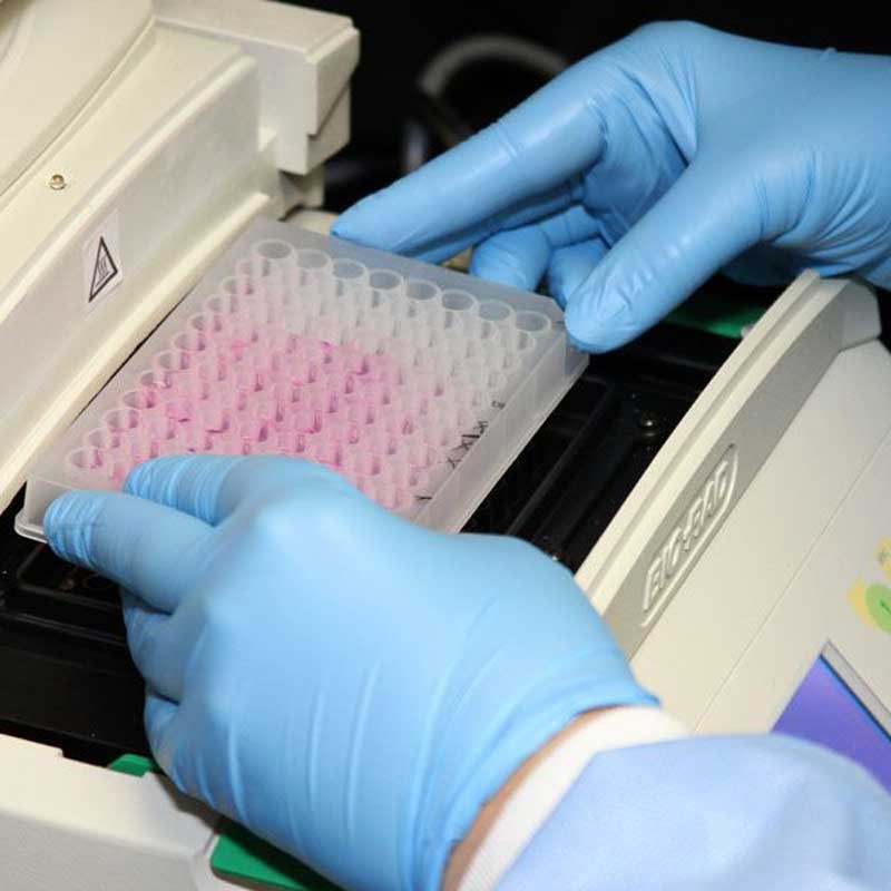 Gloved hands place samples into lab equipment in an applied biomedical science lab at UMass Lowell