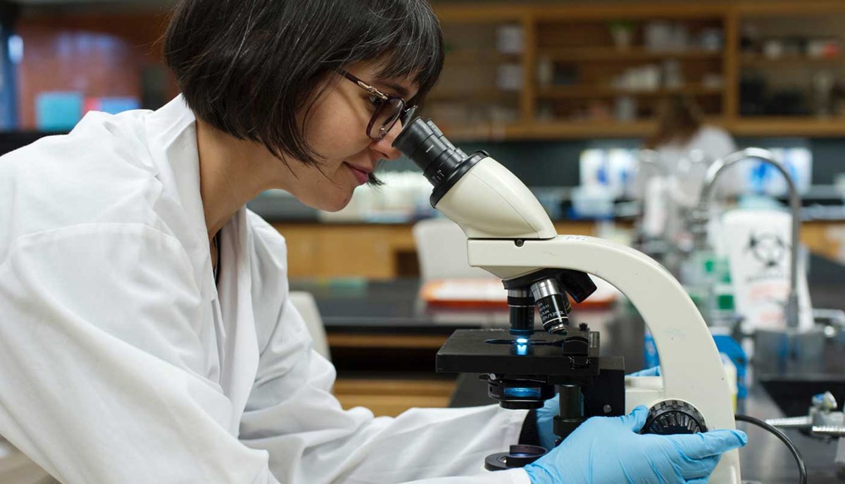 A student wearing a white lab coat looks through a microscope in an applied biomedical sciences lab at UMass Lowell