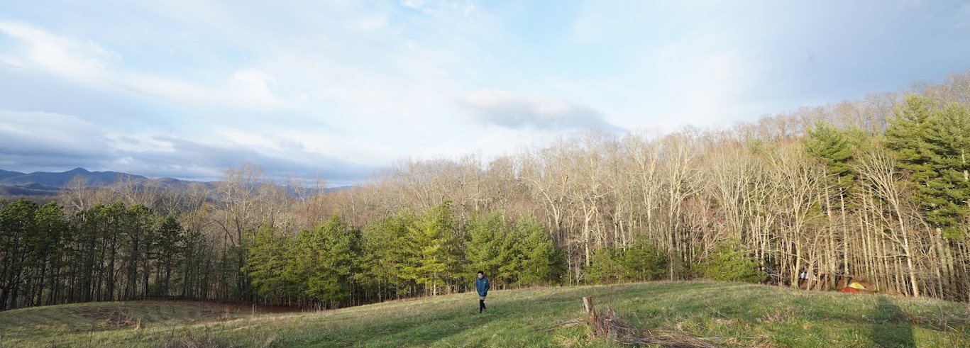 A person in a blue jacket walks across a field with trees and a ridgeline beyond.