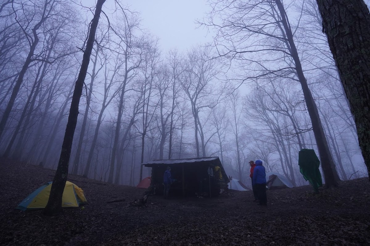 A foggy morning reveals a shelter and some tents surrounded by tall trees with bare branches. 