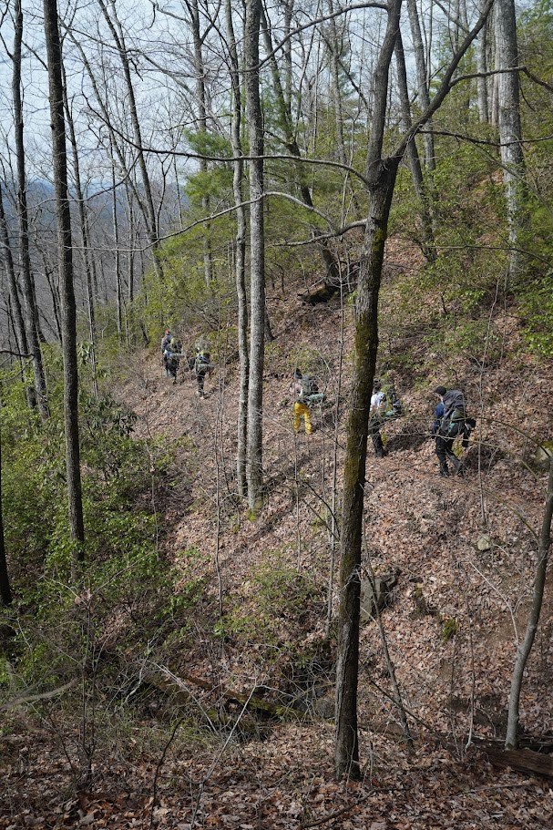 Beyond some trees, a group walks in a line across leaf-covered ground surrounded by green bushes. 