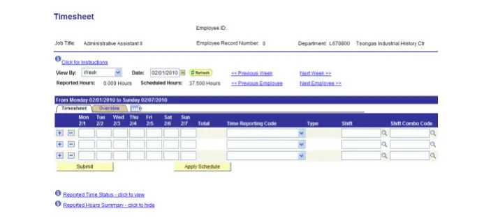 Screenshot of an example of a blank timesheet.