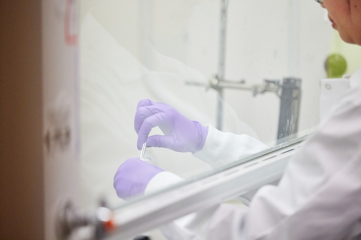 Purple-gloved hands work on other side of glass partition