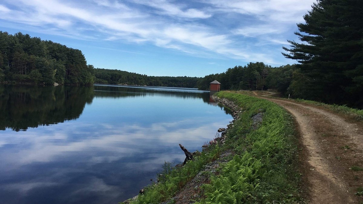 A pond reflects the sky with a small road and brick structure on the right side