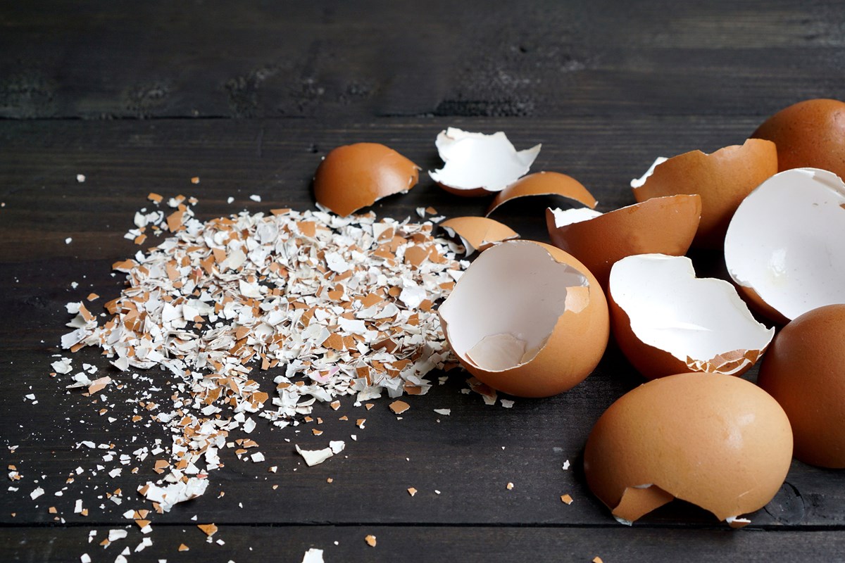 Brown eggshells and its fragments scattered on a dark wooden board.