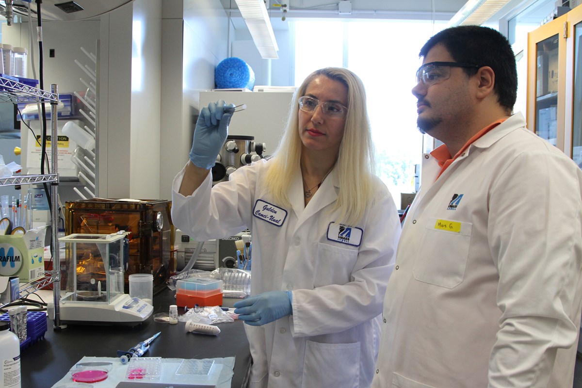 Two laboratory personnel in lab coats, examining a test tube in a laboratory filled with equipments.